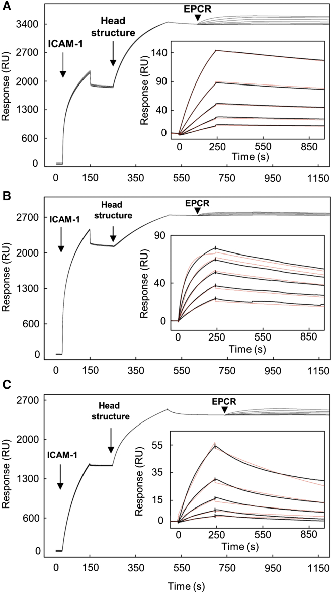 Figure 5