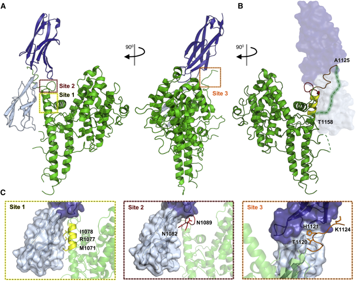 Figure 1