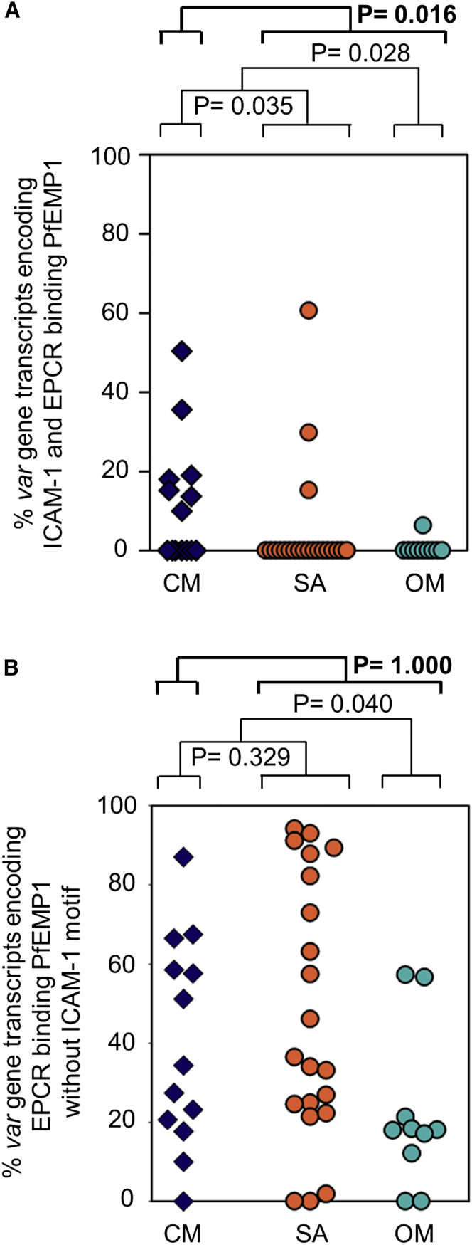 Figure 7