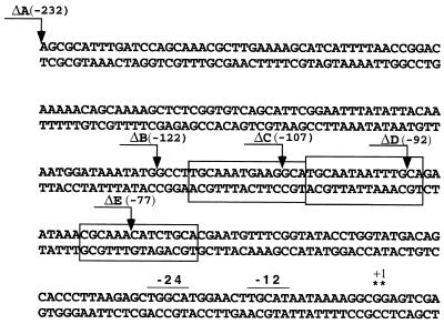 FIG. 5