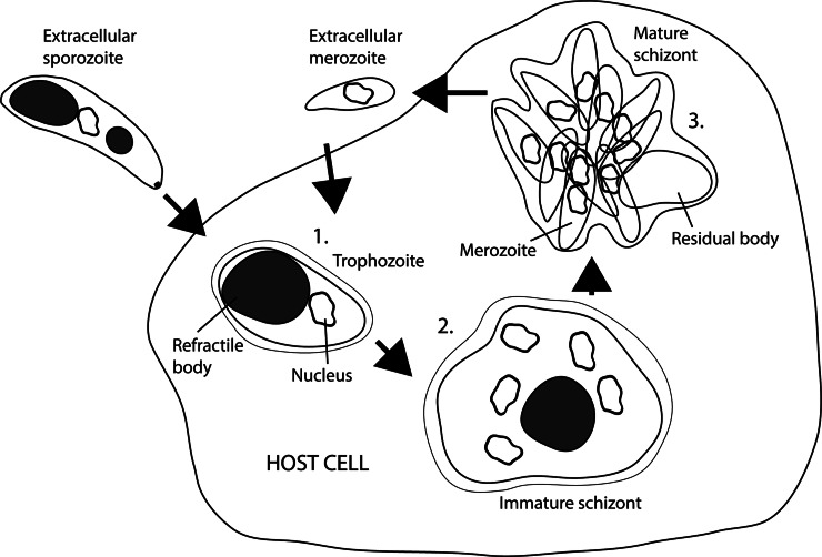 Fig. 6.