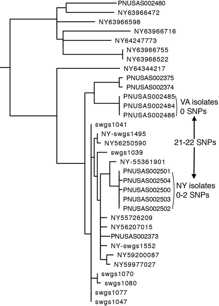 Figure 3.