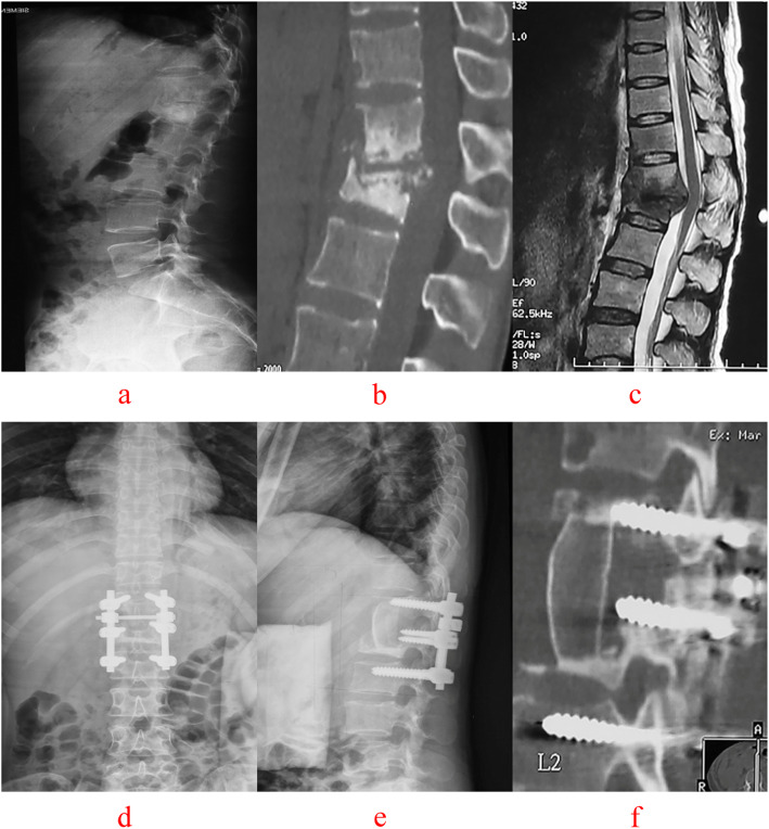 Fig. 7