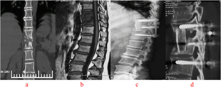 Fig. 6