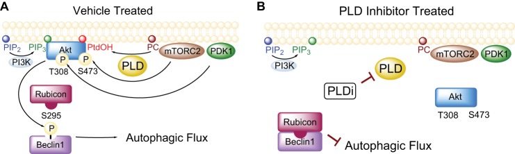 FIGURE 10.