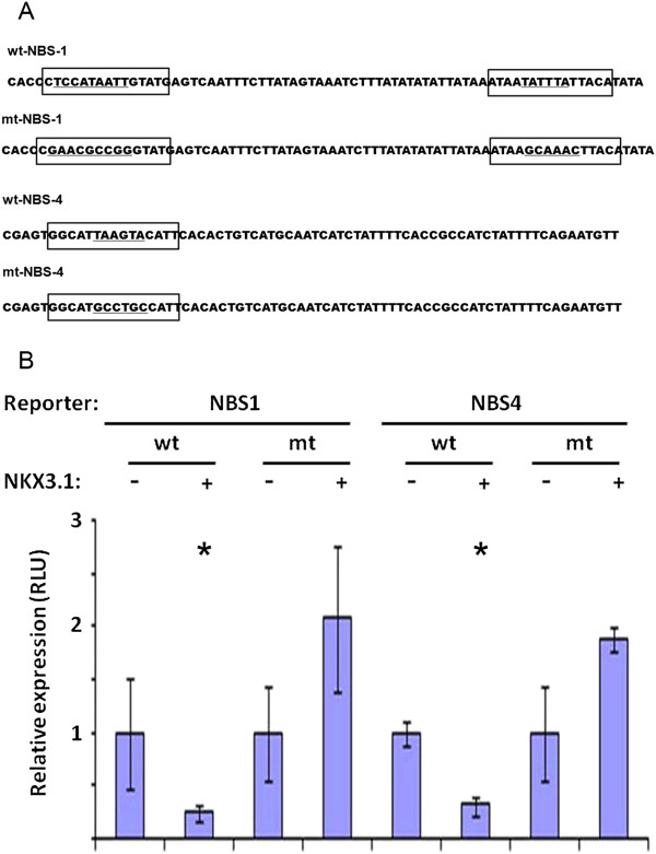 Figure 5