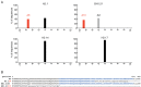 Figure 7—figure supplement 1.