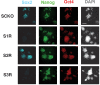 Figure 2—figure supplement 2.