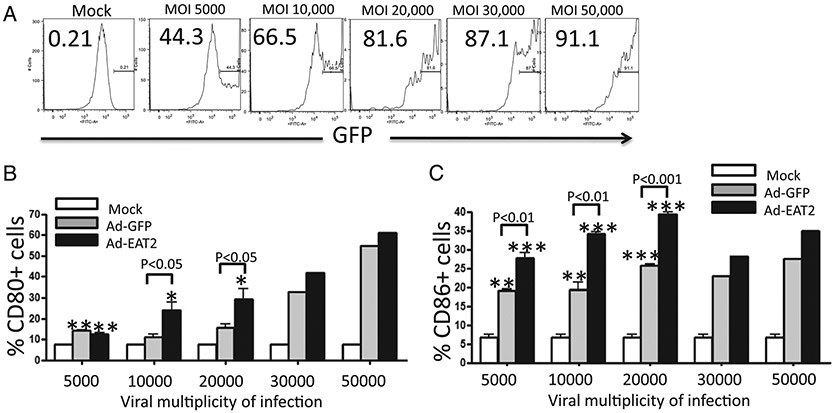 FIGURE 9.