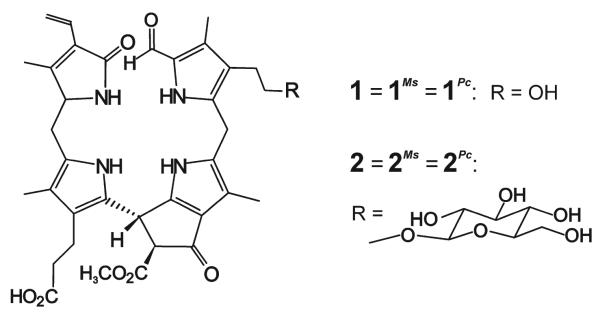 Scheme 2