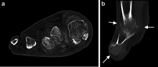 Fig. 8