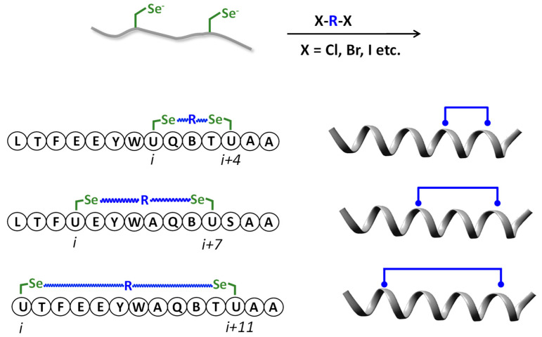 Scheme 5