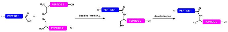 Scheme 2