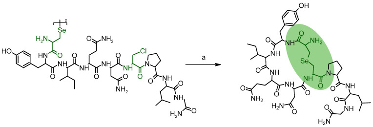 Scheme 4