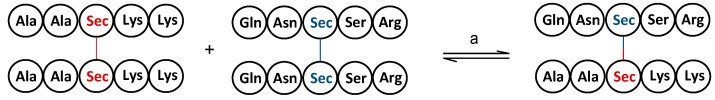 Scheme 6