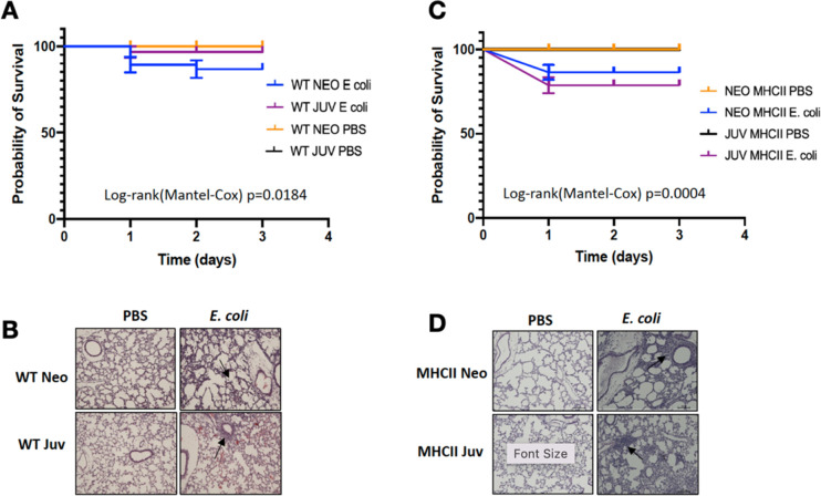 Figure 1—figure supplement 1.