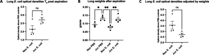 Figure 1—figure supplement 2.