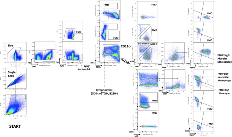 Figure 3—figure supplement 1.