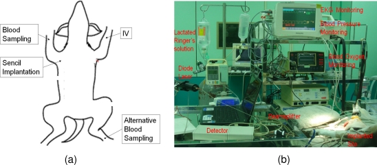 Figure 2.