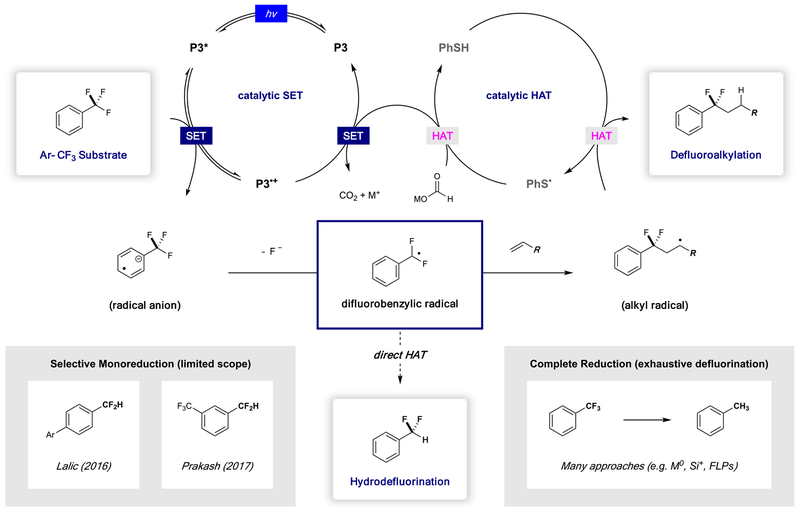 Scheme 3.