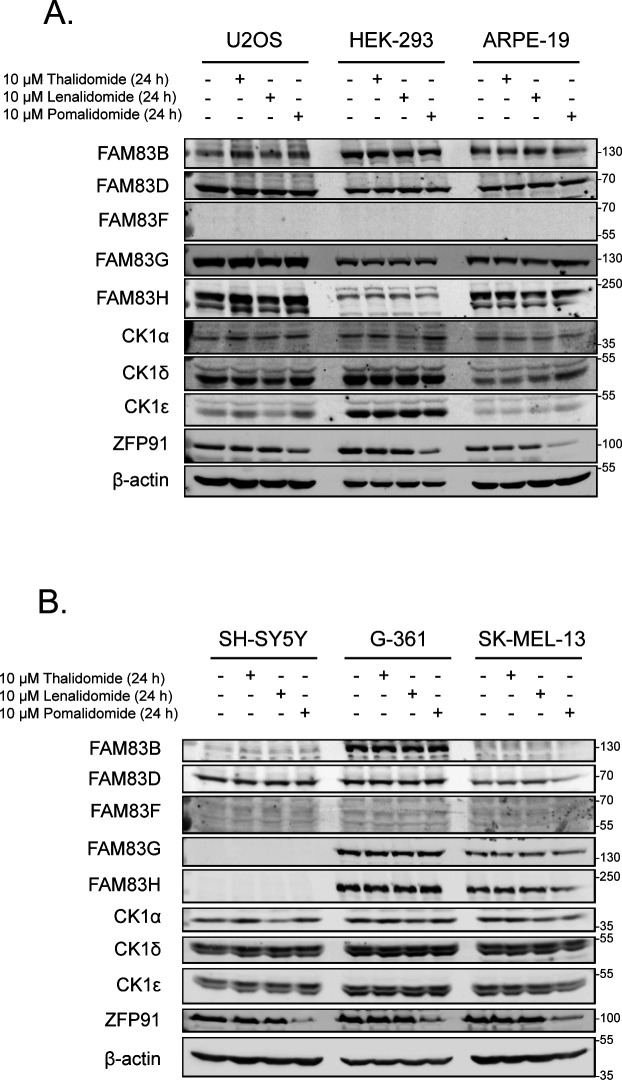 Figure S1.