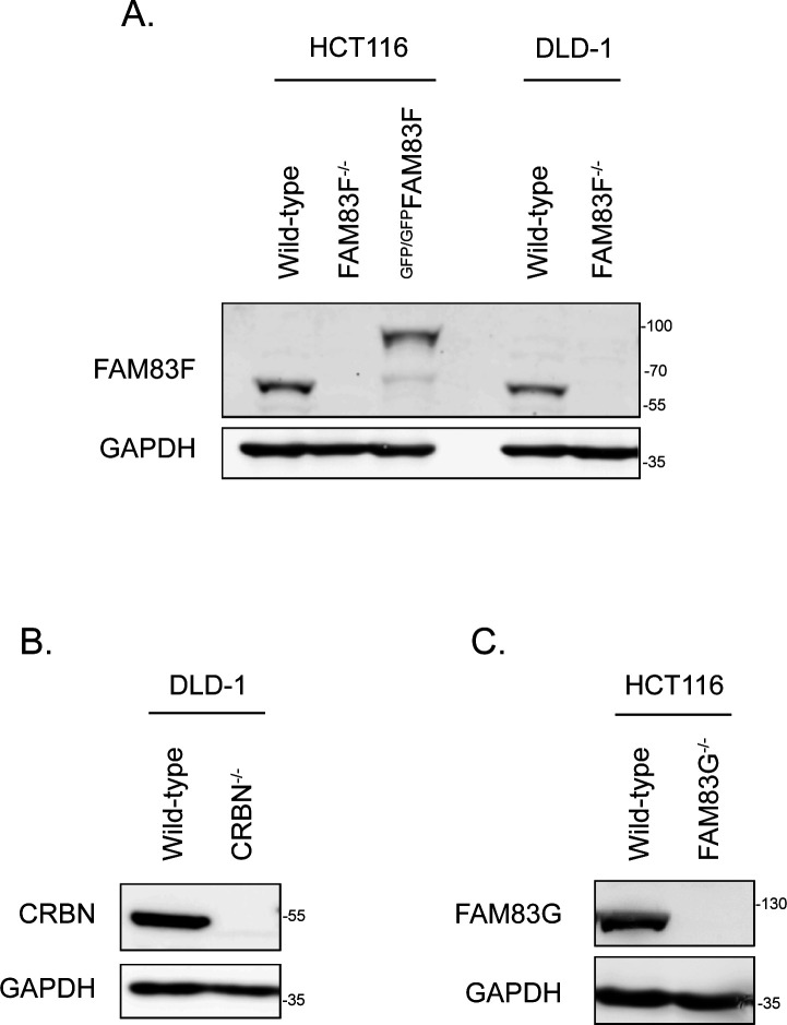 Figure S3.