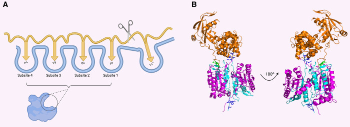 Figure 2.