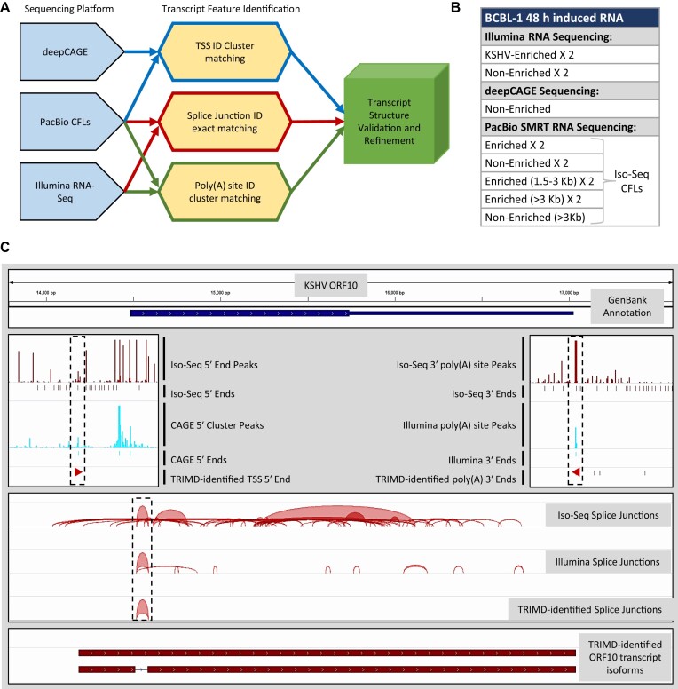 Figure 2.