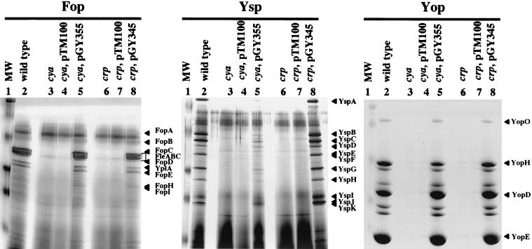 FIG.3.