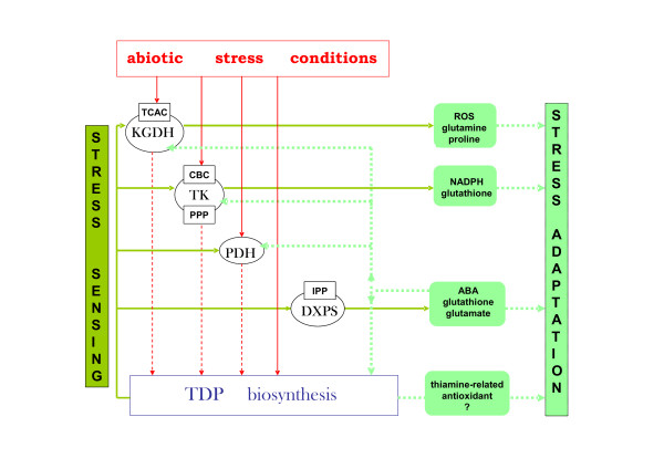 Figure 9