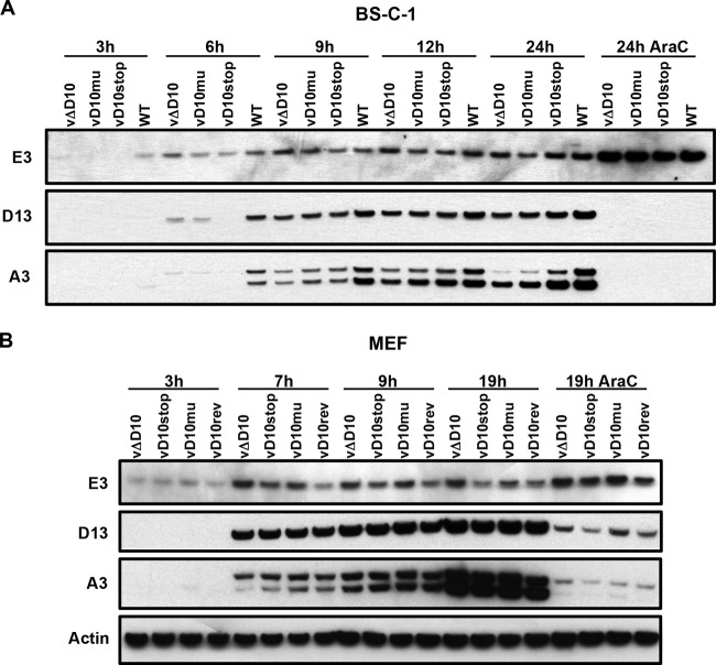 FIG 3