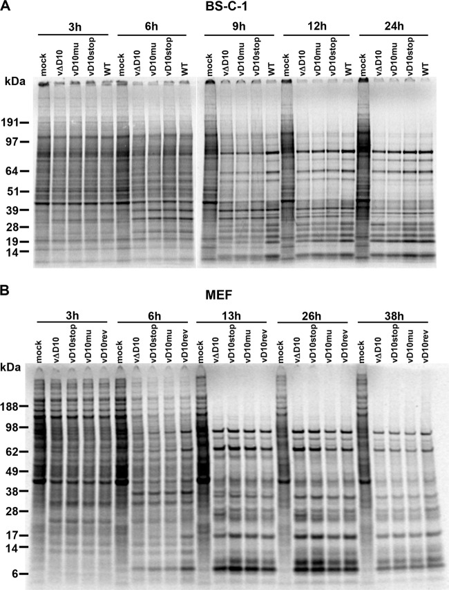 FIG 2