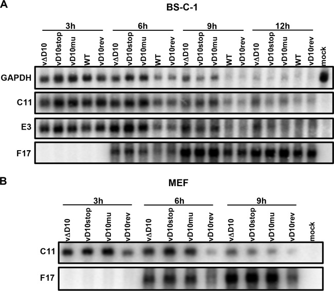 FIG 4