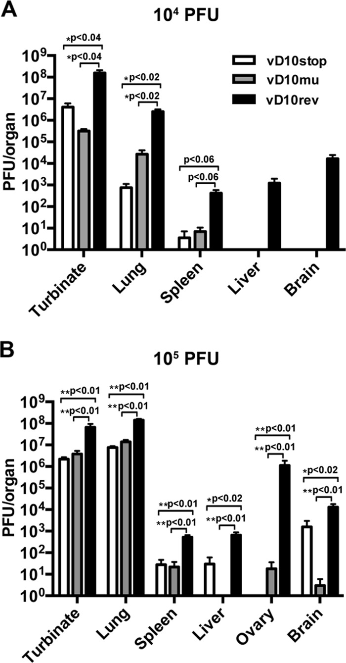 FIG 6