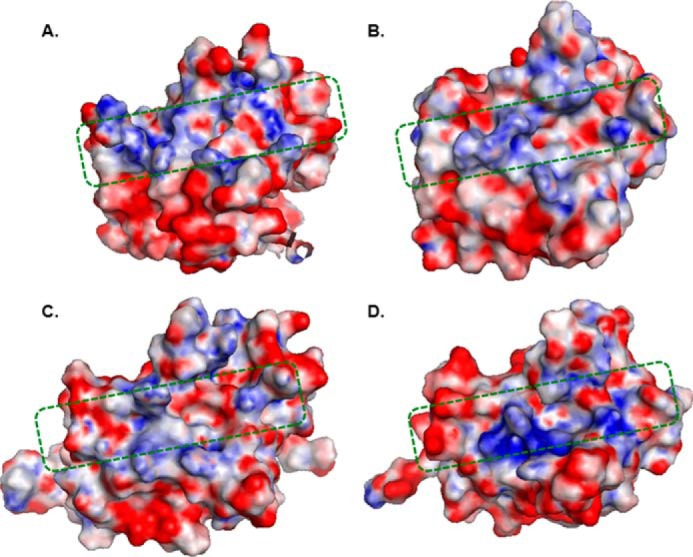 FIGURE 3.