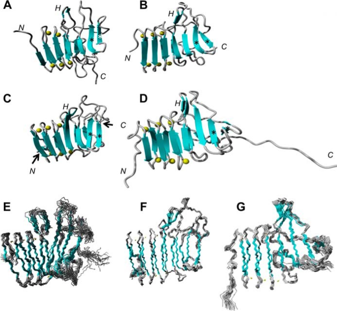 FIGURE 2.