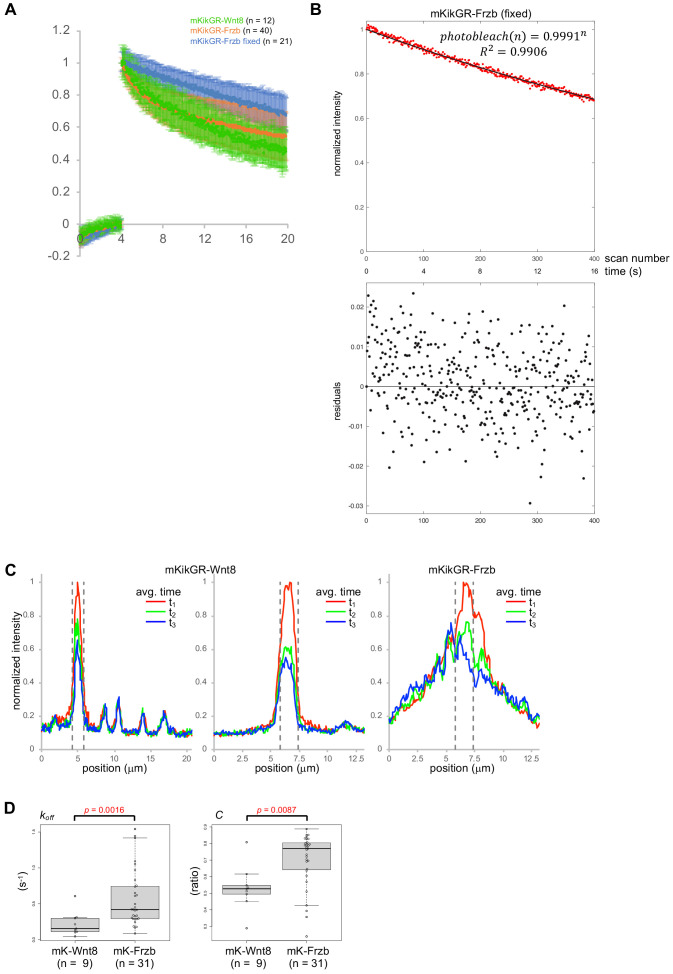 Figure 4—figure supplement 2.