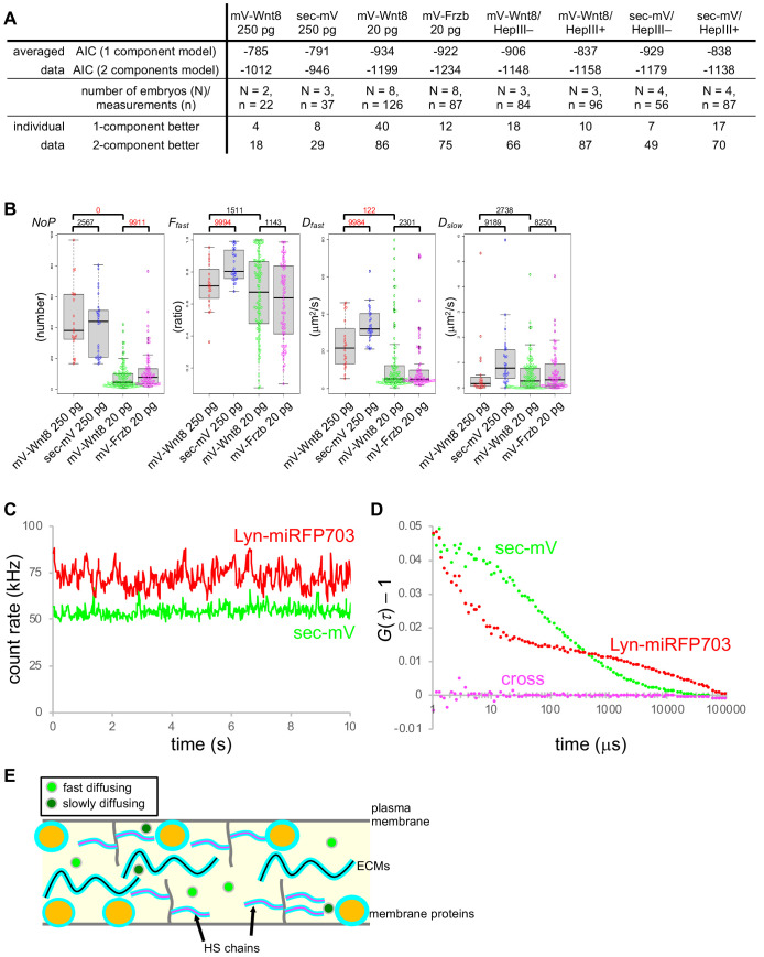 Figure 3—figure supplement 1.