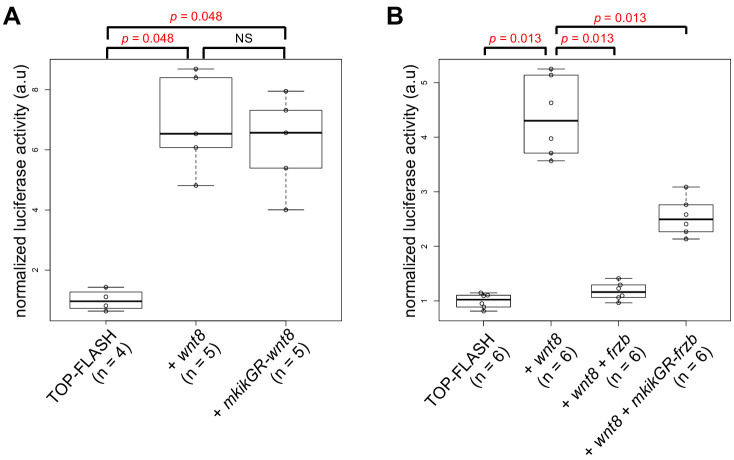 Figure 4—figure supplement 1.