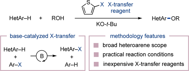 graphic file with name nihms-1739213-f0001.jpg