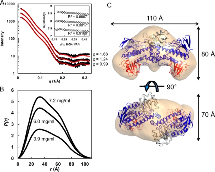 FIGURE 5.