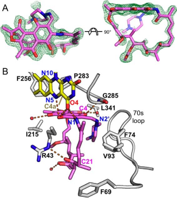 FIGURE 7.