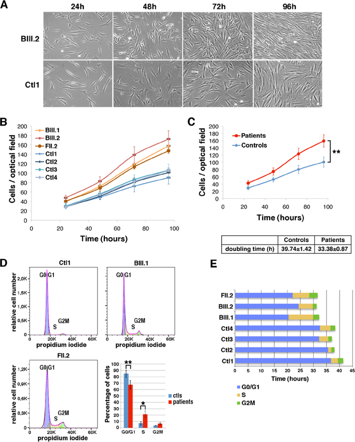 Fig. 4: