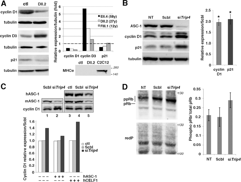 Fig. 6: