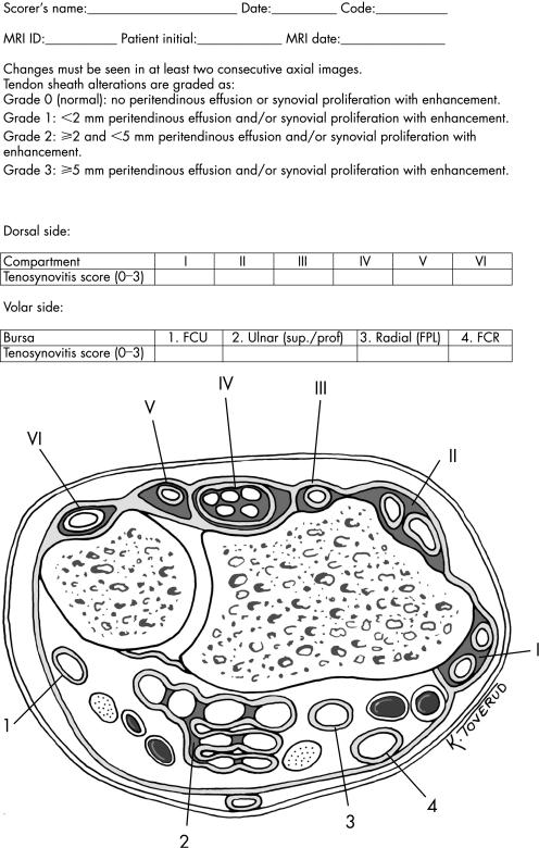 graphic file with name ar68361.f1.jpg