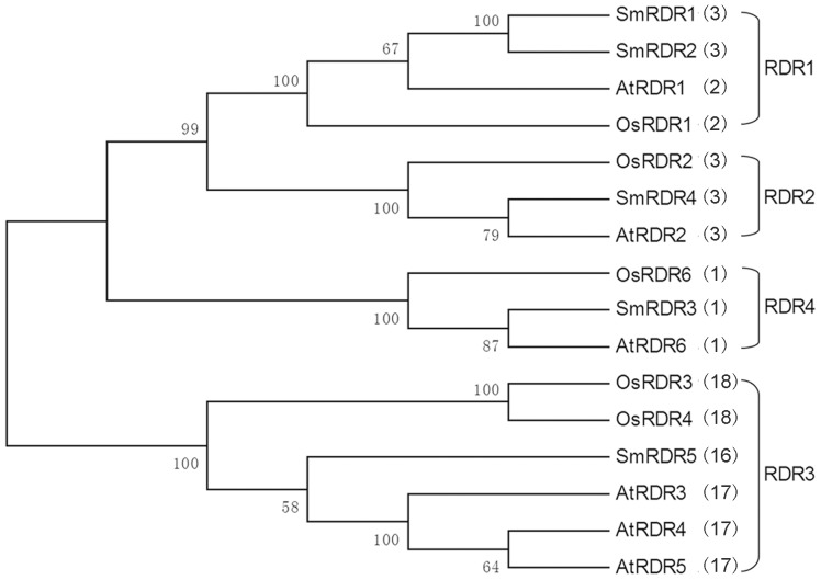 Figure 5