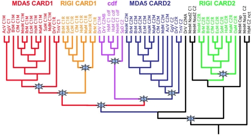 Fig. 3.