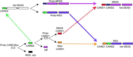 Fig. 4.