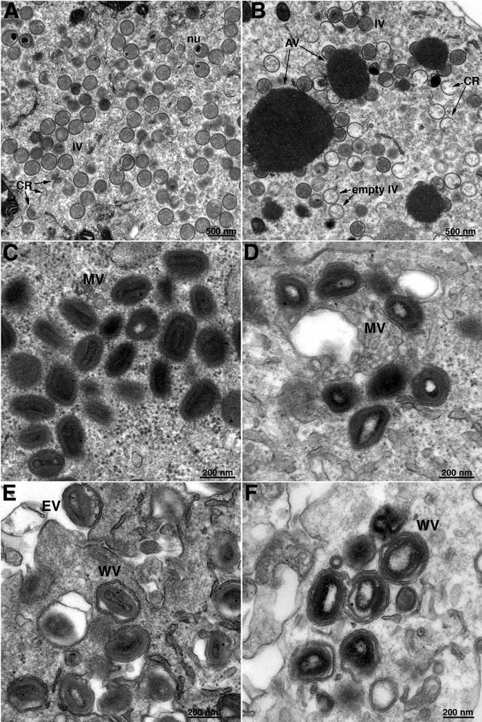 Fig. 8