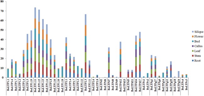 Figure 5